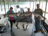 (08/02/2015) - Nice Striped Bass